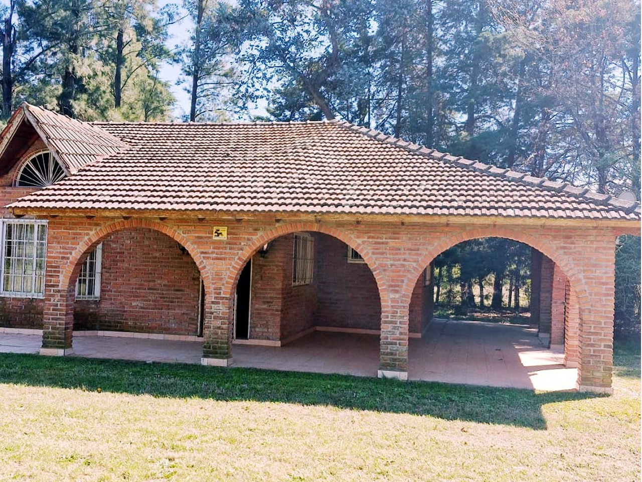 Image-1
